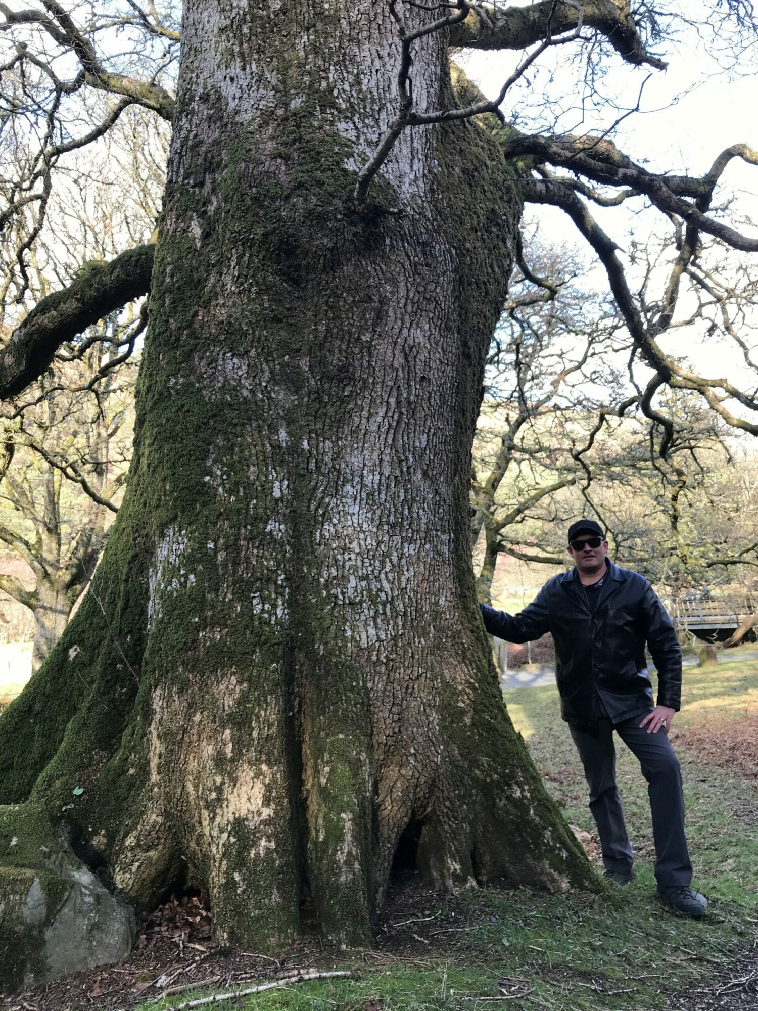 man next to old tree
